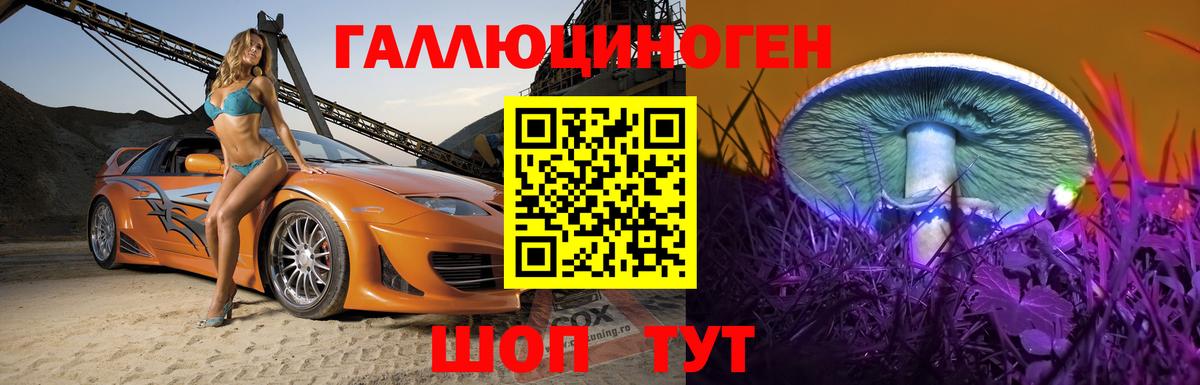 Псилоцибиновые грибы Cubensis Фурманов