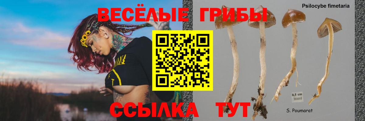 Псилоцибиновые грибы мухоморы  Псилоцибиновые грибы Psilocybine cubensis  Фурманов  Вход с VPN 
